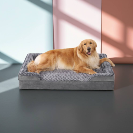 Dog lying on a gray orthopedic bed in a room with a large window.