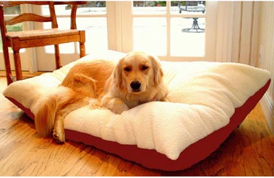 Majestic Pet XL Rectangle Dog Bed – Red