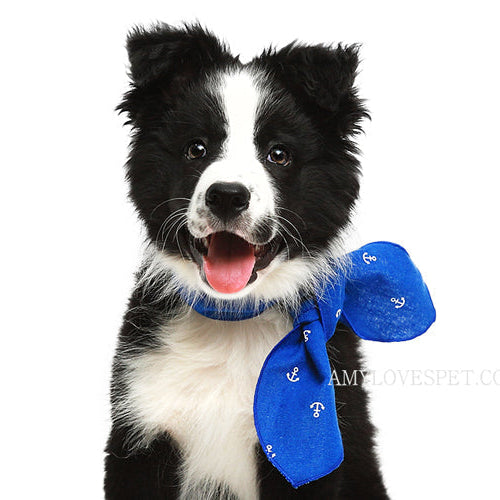 Marine Blue Cotton Dog Scarf