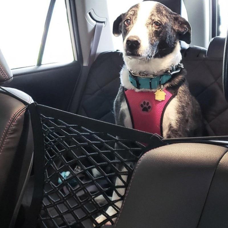 Dog in a car wearing a pink harness with a black mesh barrier.