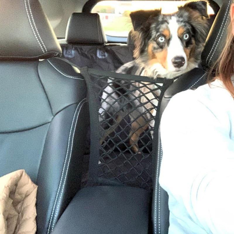 Dog in a car seat with a pet safety net