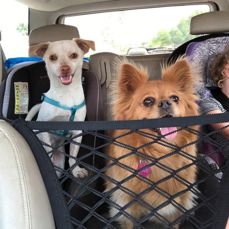 Two dogs in a car using a pet safety barrier.