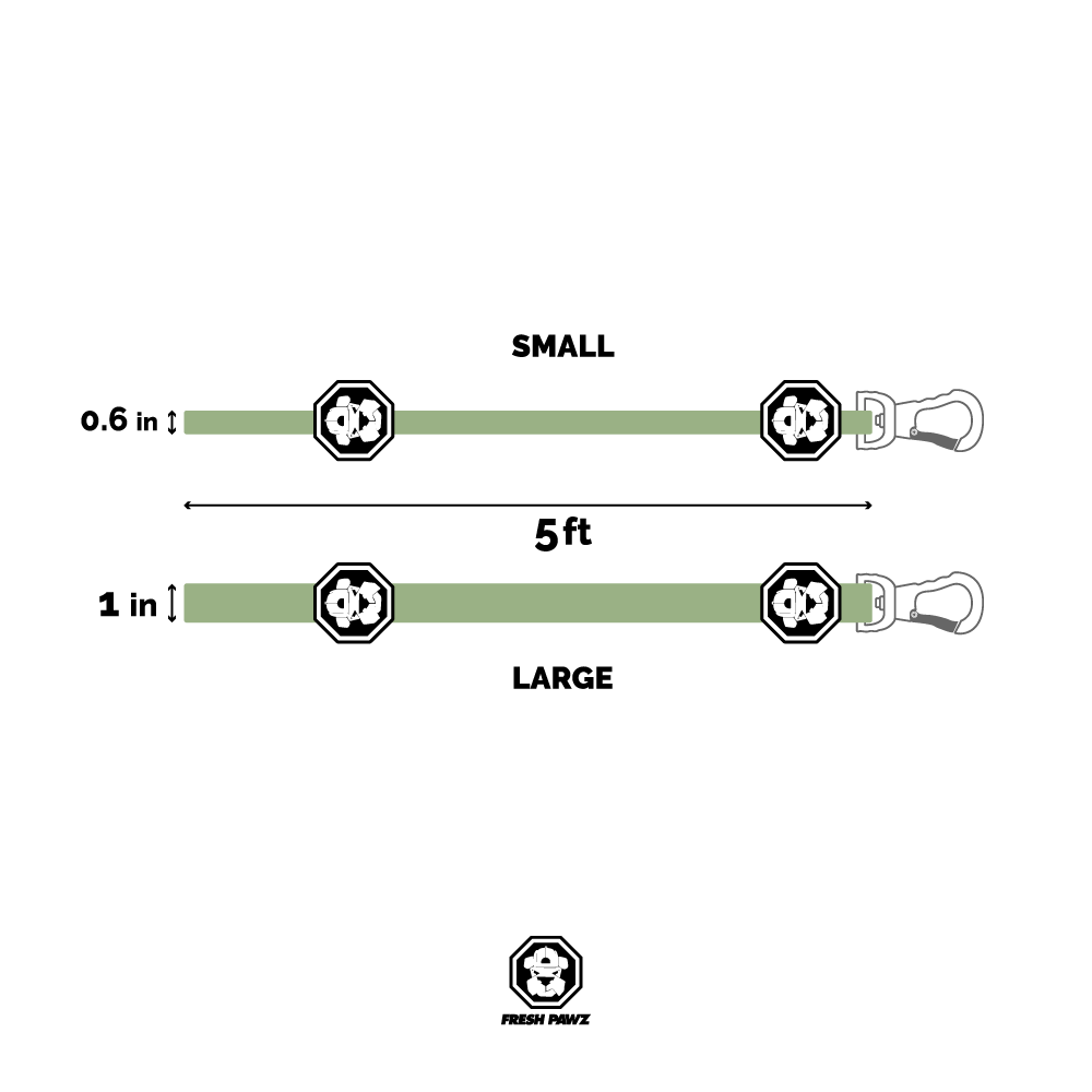 Measurement chart for a dog leash showing small and large sizes with corresponding lengths.