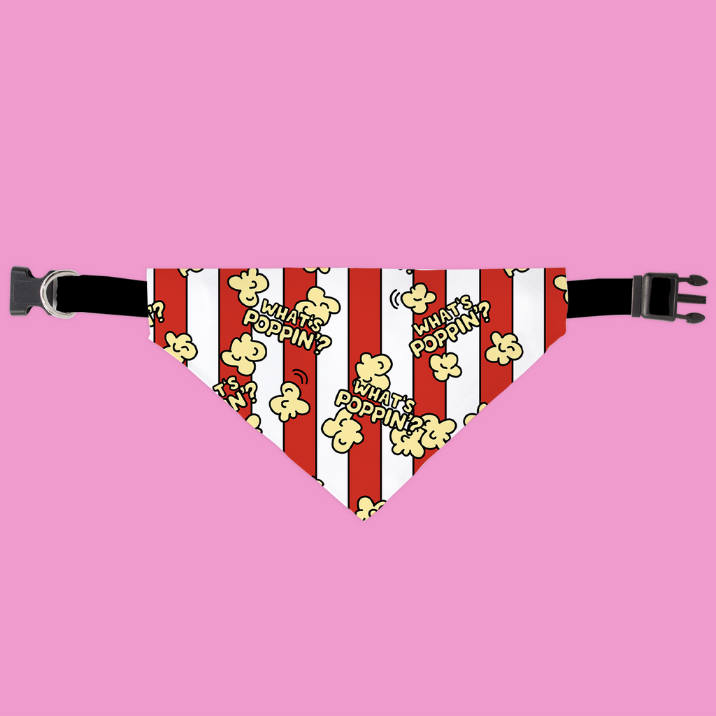 Dog bandana with popcorn pattern on a pink background