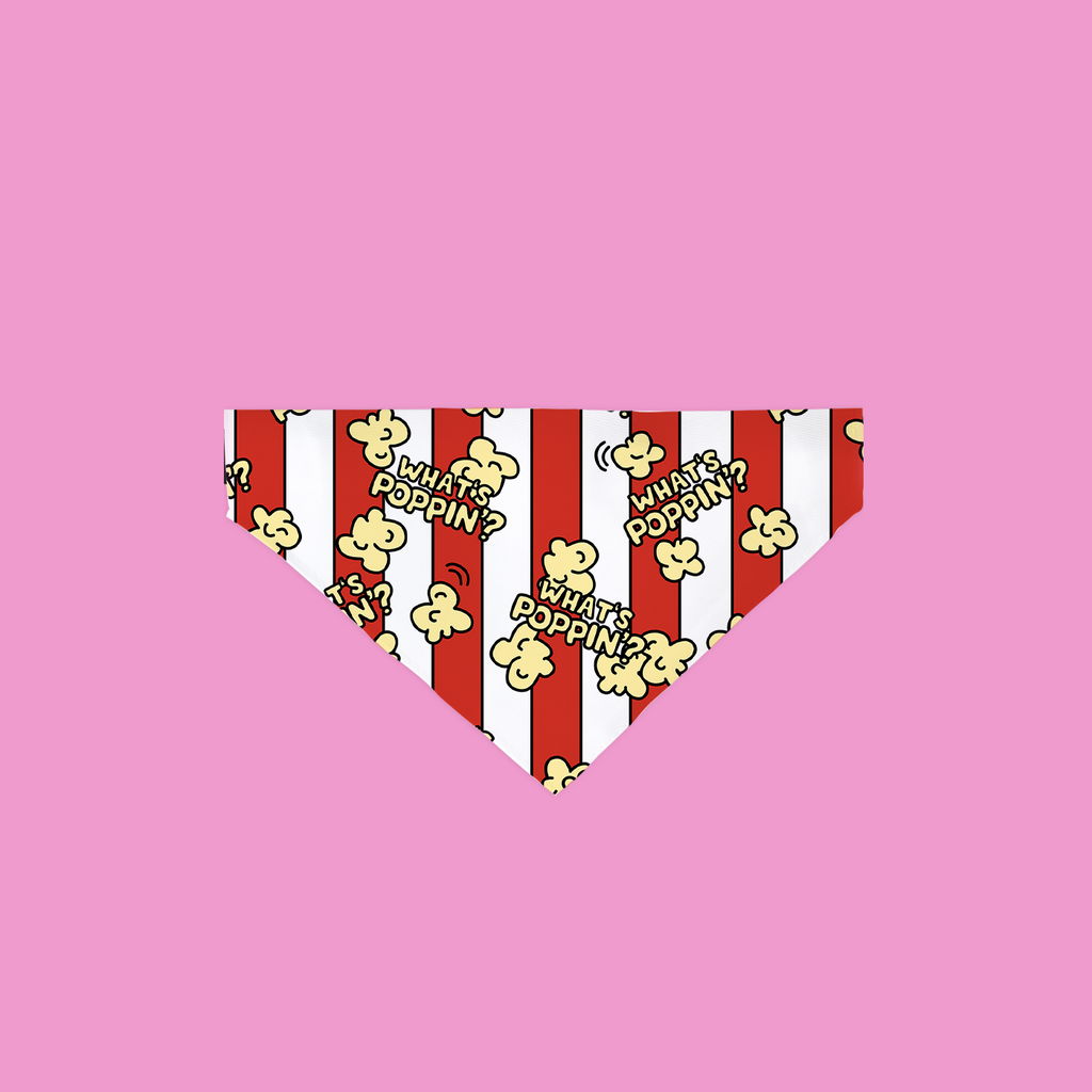 Red and white striped bandana with popcorn kernel design on a pink background