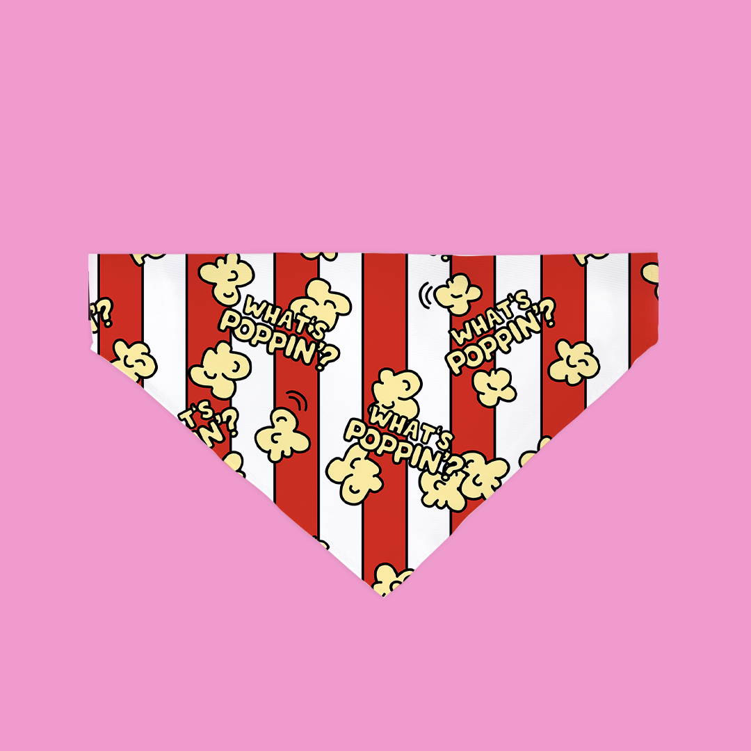 Dog bandana with popcorn-themed design on a pink background